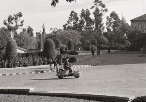 <p>Passeig del Comte d’Egara. Octubre 1956. Ref, 74308</p>
