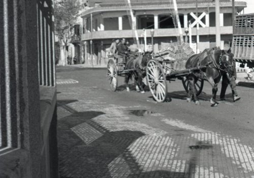 <p>Carretera de Montcada. Abril 1956. Ref. 75151.</p>

