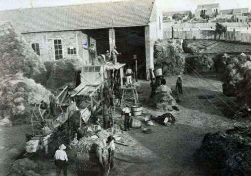 <p>Cooperativa agrícola de Terrassa al carrer Colom, 1925. Autor: Desconegut. Fons Cooperativa agrícola de Terrassa. AHT-ACVOC. Ref. 345734.</p>
