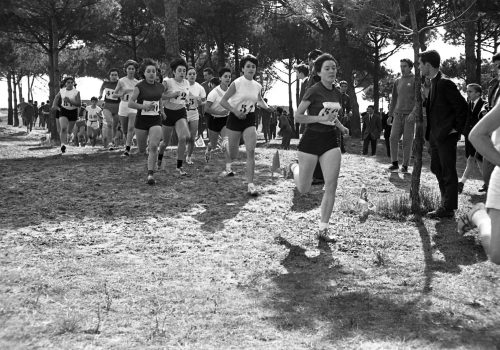 <p>XLVIII Campionat d’Espanya de Cros femení. Viladecans, 6 de març de 1966.</p>
<p>Fotografia: Joan Biarnés – Procedència: Arxiu Municipal de Terrassa (AMAT) – Reg: 362_003</p>
