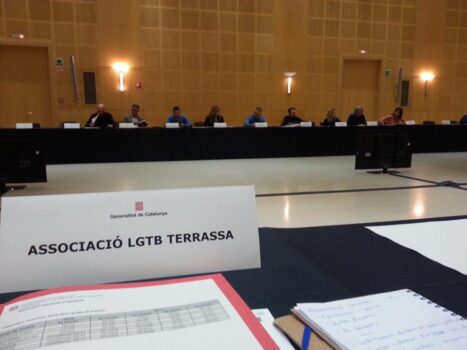 <p>Participació de LGTB Terrassa al Consell Nacional LGTB, l’entitat va treballar la incidència en diferents espais tant a nivell català com estatal.</p>
